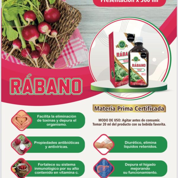 Second image of Jarabe de Rábano 360ml