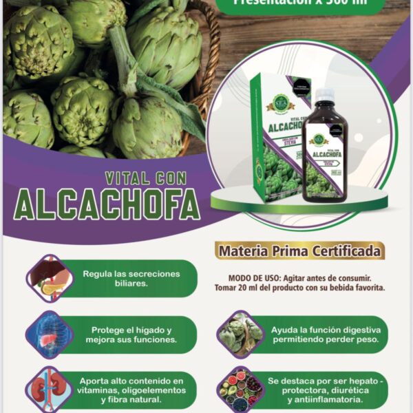 Second image of Alcachofa Vital