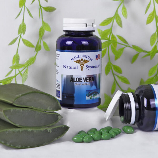 Second image of Aloe Vera x 60 cápsulas