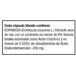 Second image of Echinacea 250mg