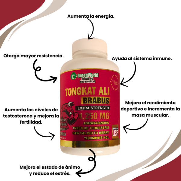 Second image of Tongkat Ali Brabus